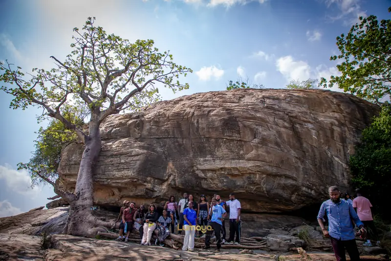A group beneath the granite and the baobab