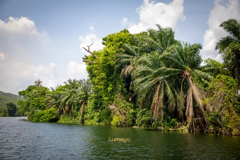 One of the lake’s countless islands